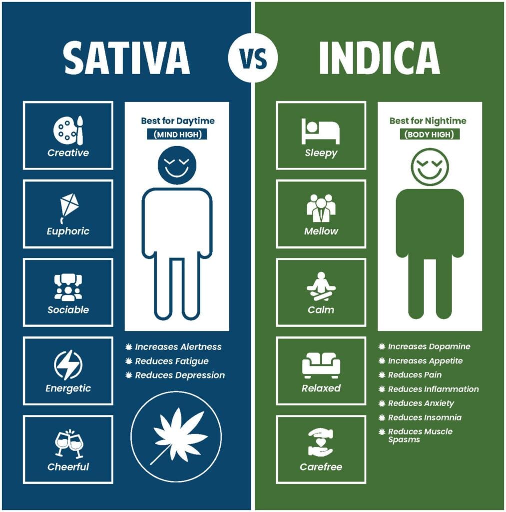 Difference Between IndicaSativa