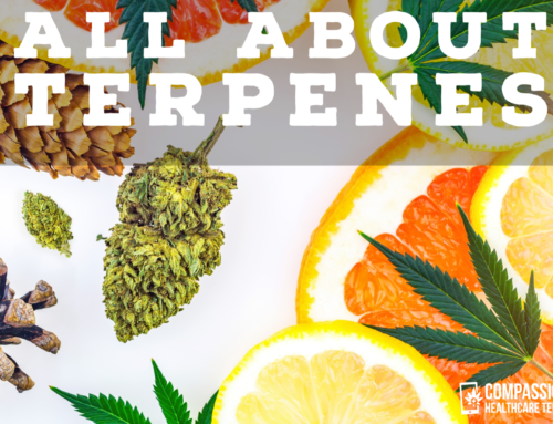 All About Terpenes