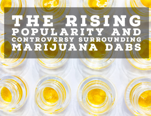 The Rising Popularity and Controversy Surrounding Marijuana Dabs
